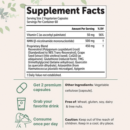 Advanced Cellular Support Complex – 10-in-1 Formula